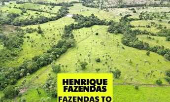 Imagem 7: Fazenda excelente para criação e engorda 80 alqueires com 75 alqueires