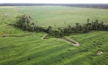 Imagem 3: Fazenda para venda tem 2.210.000 Hectares em Tomé-Açú - PA