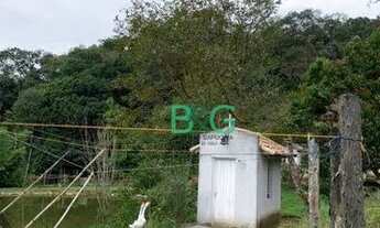 Imagem 5: Chácara com 4 dormitórios à venda, 480000 m² por R$ 900.000,00 - Estância São Domingos - S