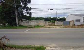 Imagem 3: Lote/Terreno para venda com 665 metros quadrados em Santo Inácio - Curitiba - PR