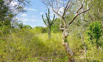 Imagem 5: VENDO 56 TAREFAS NO DISTRITO DE MATINHA