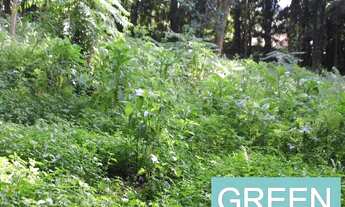 Imagem 3: TERRENO para Venda CHÁCARA FLORA, SÃO PAULO avenida WASHINGTON LUIS