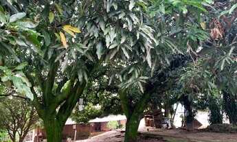 Imagem 6: Area, Jardim Bela Vista - Guarulhos