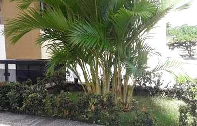 Imagem 3: Apartamento para aluguel com 77 metros quadrados com 3 quartos em Imbuí - Salvador - BA