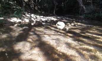 Imagem 5: Chácara 9.500m² com um barracão, muita água, terra boa/Jaboticatubas, temos varias opções