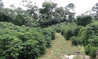 Imagem 6: Venda-se está propriedade de 30 alqueires no Município de Guaçuí/ES