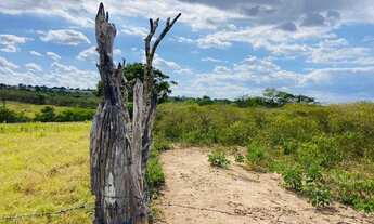Imagem 4: VENDO 56 TAREFAS NO DISTRITO DE MATINHA