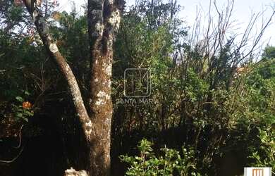 Imagem 3: Chacara (chacara) 4 dormitórios, cozinha planejada