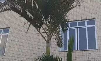 Imagem: Apartamento para alugar 2 quartos sendo