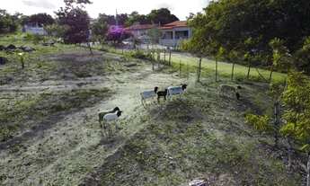 Imagem 6: Aluga-se sítio para semana de São João, na zona rural de Bananeiras, pertinho da cidade