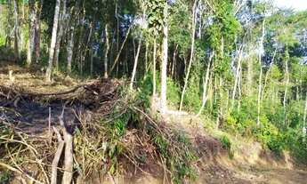 Imagem 5: Realize seu sonho