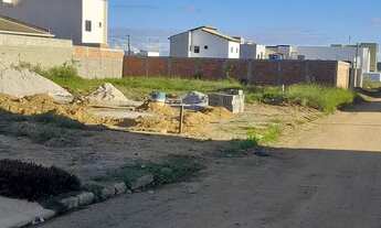 Imagem 4: Terreno morada dos pássaros