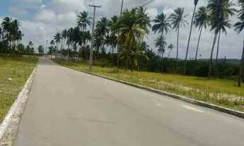 Imagem 3: Lotes centro Itapissuma