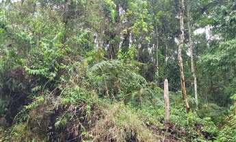 Imagem 3: ATENÇÃO: IMÓVEL EM LEILÃO