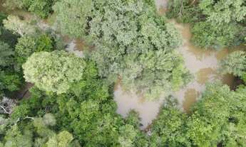 Imagem 7: Vendo fazenda em Cristalândia TO