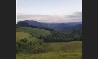 Imagem 6: 23.6 Hectares (ideal gado