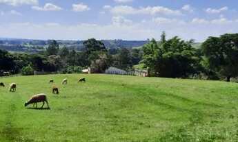 Imagem 5: Vendo lindo sítio em Araçoiaba da Serra SP bairro Jundiacanga