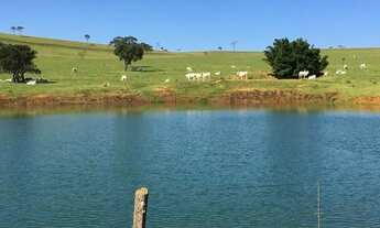 Imagem 5: Fazenda de 260 alq em Corumbá-Go