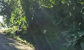 Imagem 6: TERRENO A VENDA EM CACUPÉ FLORIANÓPOLIS -SC