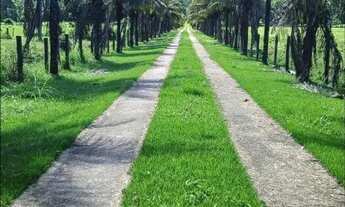 Imagem: Fazenda para Venda em Silva Jardim, Boqueirão