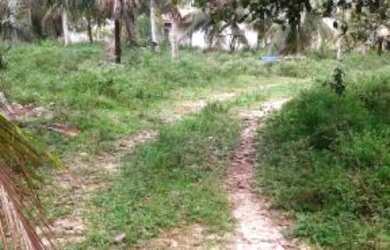 Imagem 6: Fazenda/Sítio/Chácara para venda com 1900000 metros quadrados em Sítio do Conde - Conde