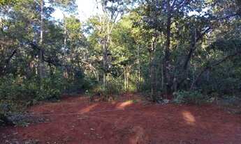 Imagem 3: Lote em Felixlândia