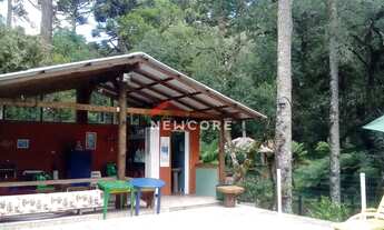 Imagem 2: Chácara em R. e N - Salto Eletra - São Francisco de Paula/RS