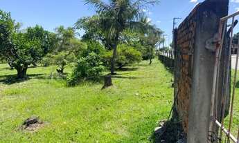 Imagem 7: Sitio em área urbana no Marcos Freire III