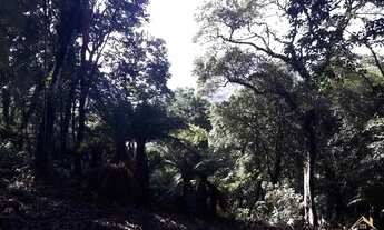 Imagem 2: Área de terras com vista deslumbrante para o vale e montanhas. Linha Imperial. REF: 242