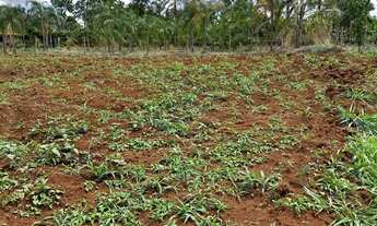 Imagem 6: Chácara região metropolitana Goiania bonfinópolis 60 mil