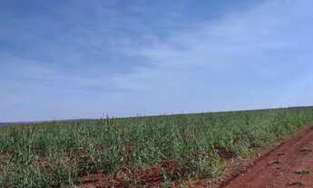 Imagem 5: Fazenda a venda - Nazário - GO