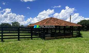 Imagem 7: FAZENDA À VENDA - 1.300 HECTARES - BURITIS (MG