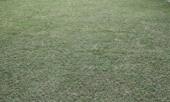 Imagem 7: Vendo Terreno grande com imóvel