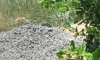 Imagem: EXCELENTE TERRENO ( CONDOMINIO VIVERDE 1