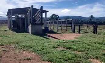 Imagem 2: Sítio de 33 hectares região da serra de sao Vicente.