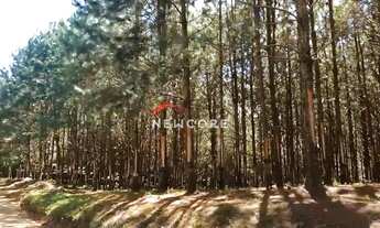 Imagem 5: Fazenda em Rodovia - Área Rural de São Miguel Arcanjo - São Miguel Arcanjo/SP