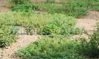 Imagem 3: Vende Terreno de 1765m para comercial ou Incorporação