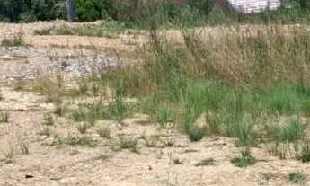 Imagem: Terreno estrada da ribeira