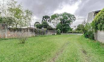 Imagem 6: TERRENO NO ABRANCHES