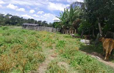 Imagem 3: Sítio de 18 hectares (7,5 alqueires) na região da cidade de Comodoro MT