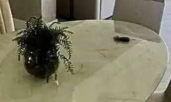 Imagem: Apartamento à venda no Clube Jardins