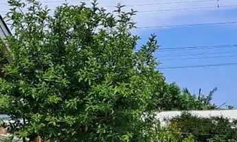 Imagem 4: Casa Estilo Colonial com 2 pav. em Xangri-la dos Mares a 280mt do mar