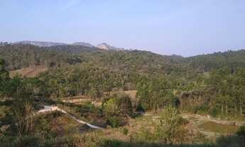 Imagem 7: Terreno região de Caeté / Barão de Cocais