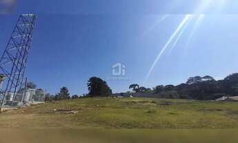 Imagem 7: Chácara em Pinhais-PR | 7021,63 m²