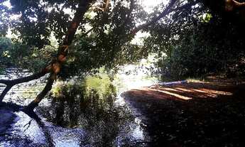 Imagem: Vede-se Chácara (Povoado Morrão/São Desidério-BA