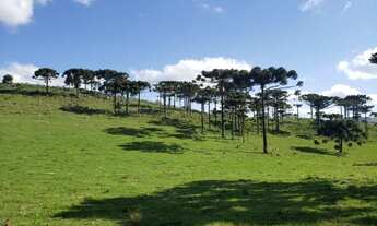 Imagem: Terreno para Investidores em Urupema