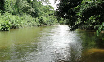 Imagem 4: Chácara na comunidade aguaçu