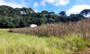 Imagem 2: Excelente Chacra com 2.500 m2 Campina taguara 250.000.00