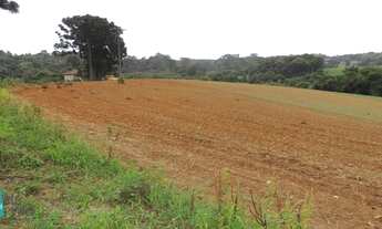 Imagem 2: TERRENO CONTENDA - TE392