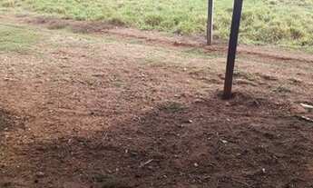 Imagem 5: Fazenda 23 alqueires em Caturai-Go